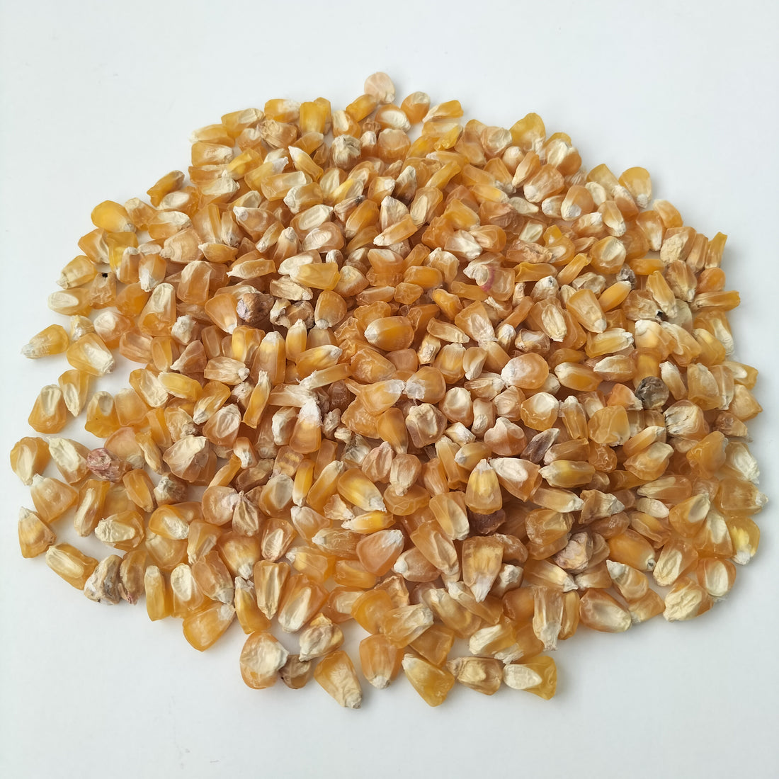 The Difference Between Seed Types