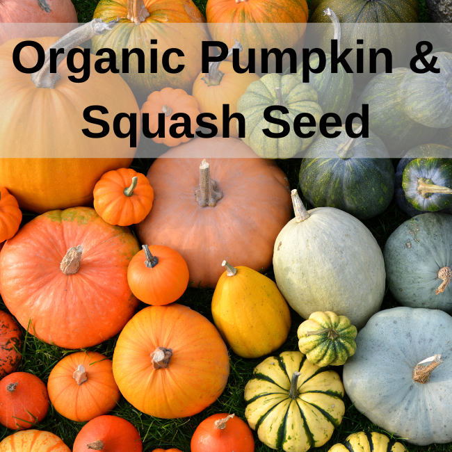 Organic Pumpkin & Squash Seeds Seeds Ireland Openpollinated