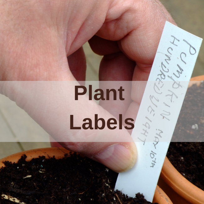 Plant Labels Plastic & Wooden Plant Markers Seeds Ireland