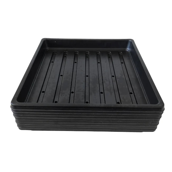 Tray with Holes