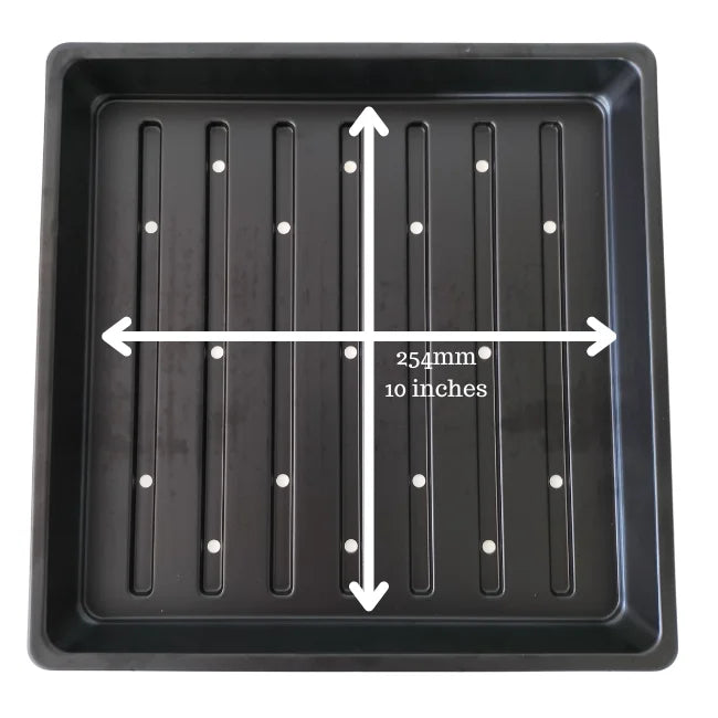 10x10 Tray with Holes Measurement