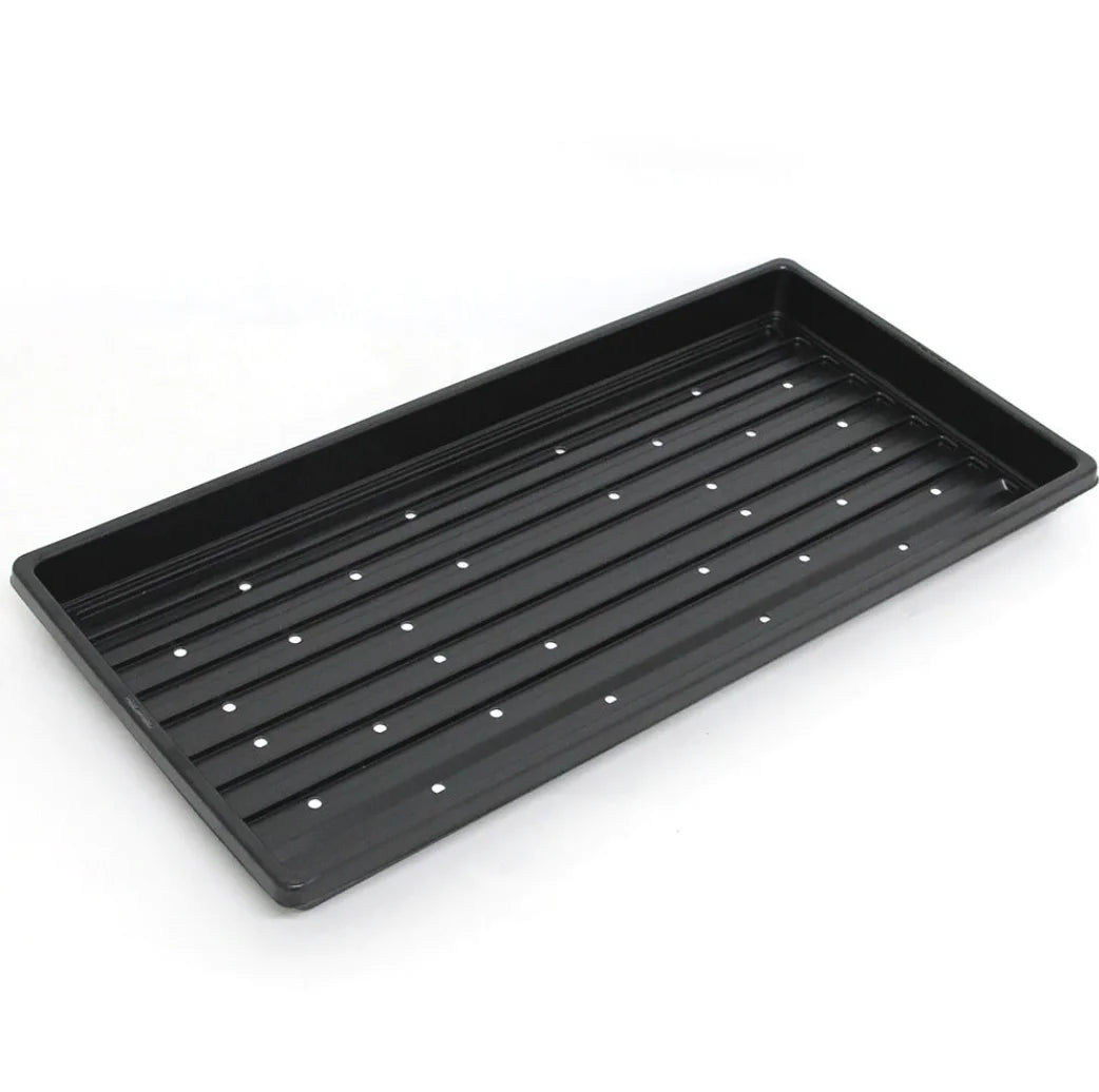 Tray with Holes 1