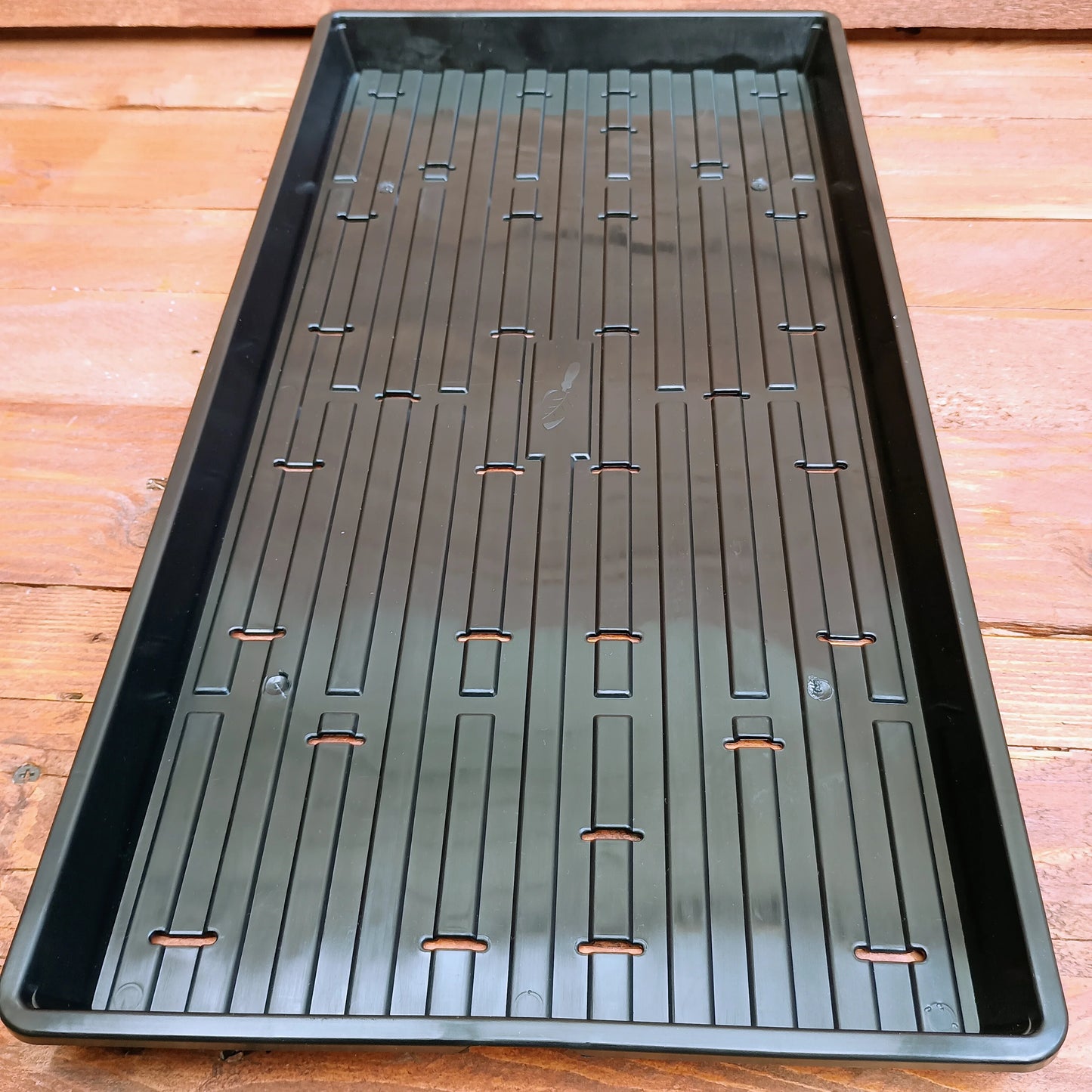 1020 Bootstrap Farmer Shallow Trays | With Holes | Heavy Duty Microgreens Or Seedling Trays