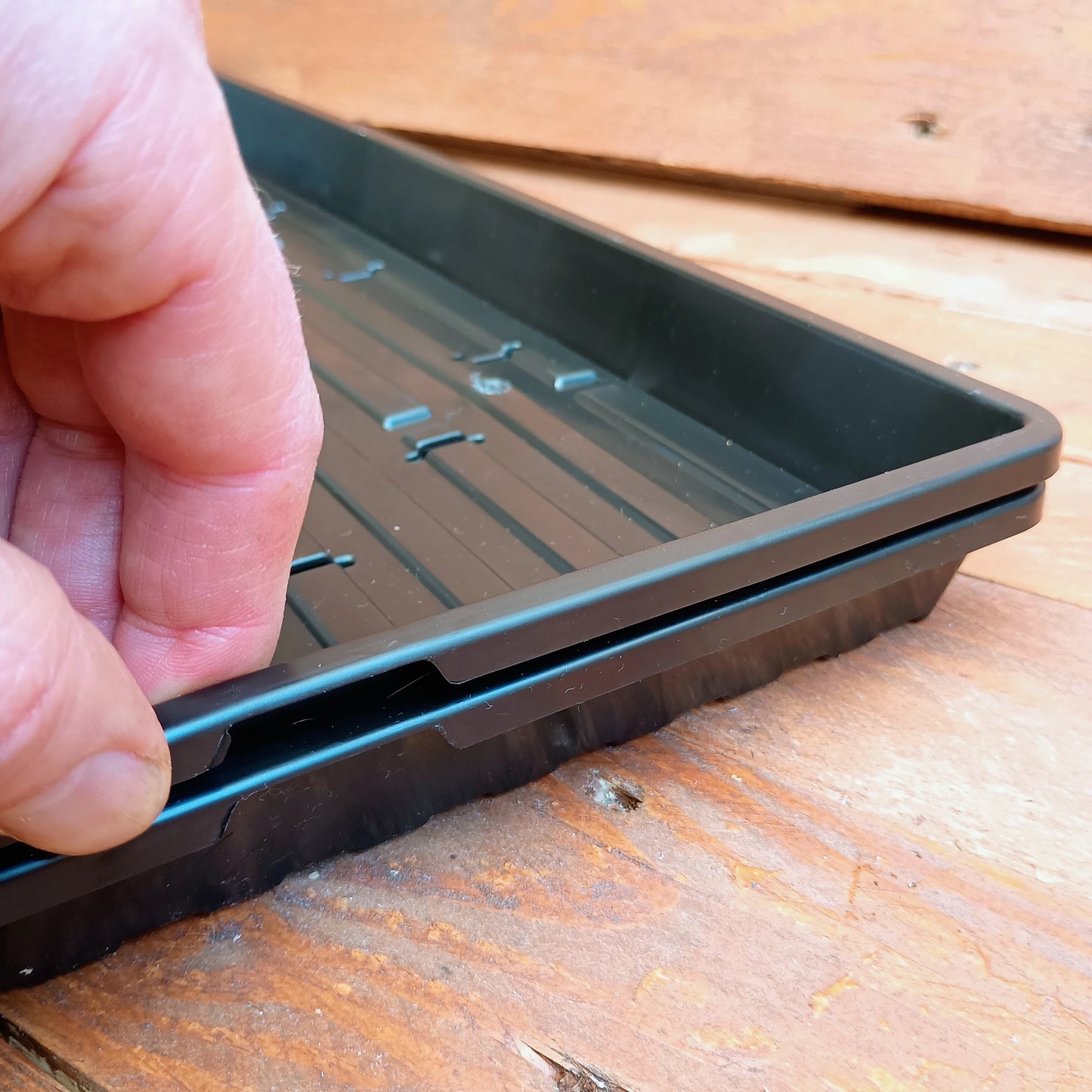 1020 Bootstrap Farmer Shallow Trays | With Holes | Heavy Duty Microgreens Or Seedling Trays