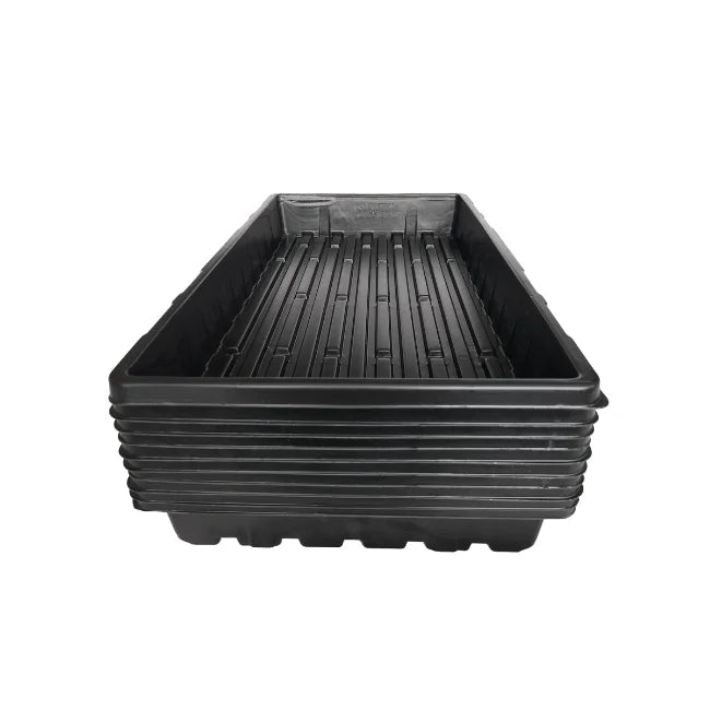 10 Large Tray No Holes