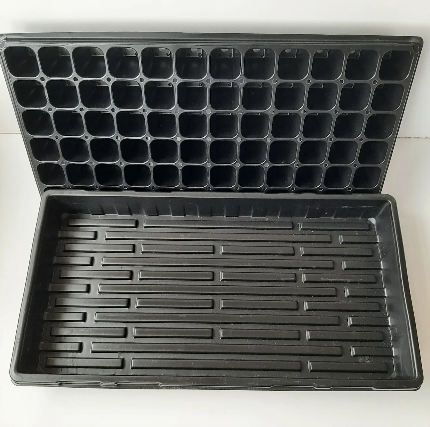 Propagation set with seedling module