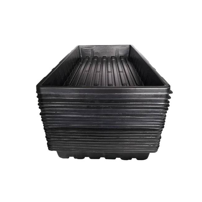 20 Large Tray No Holes