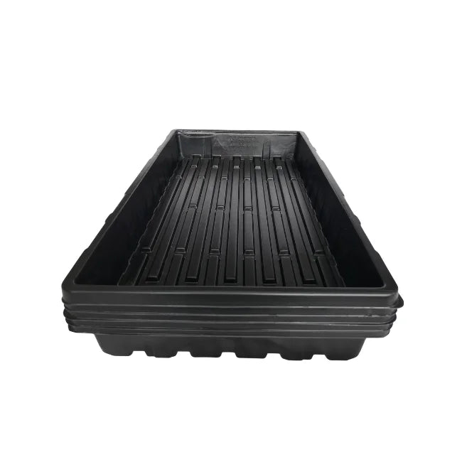 5 Large Tray No Holes
