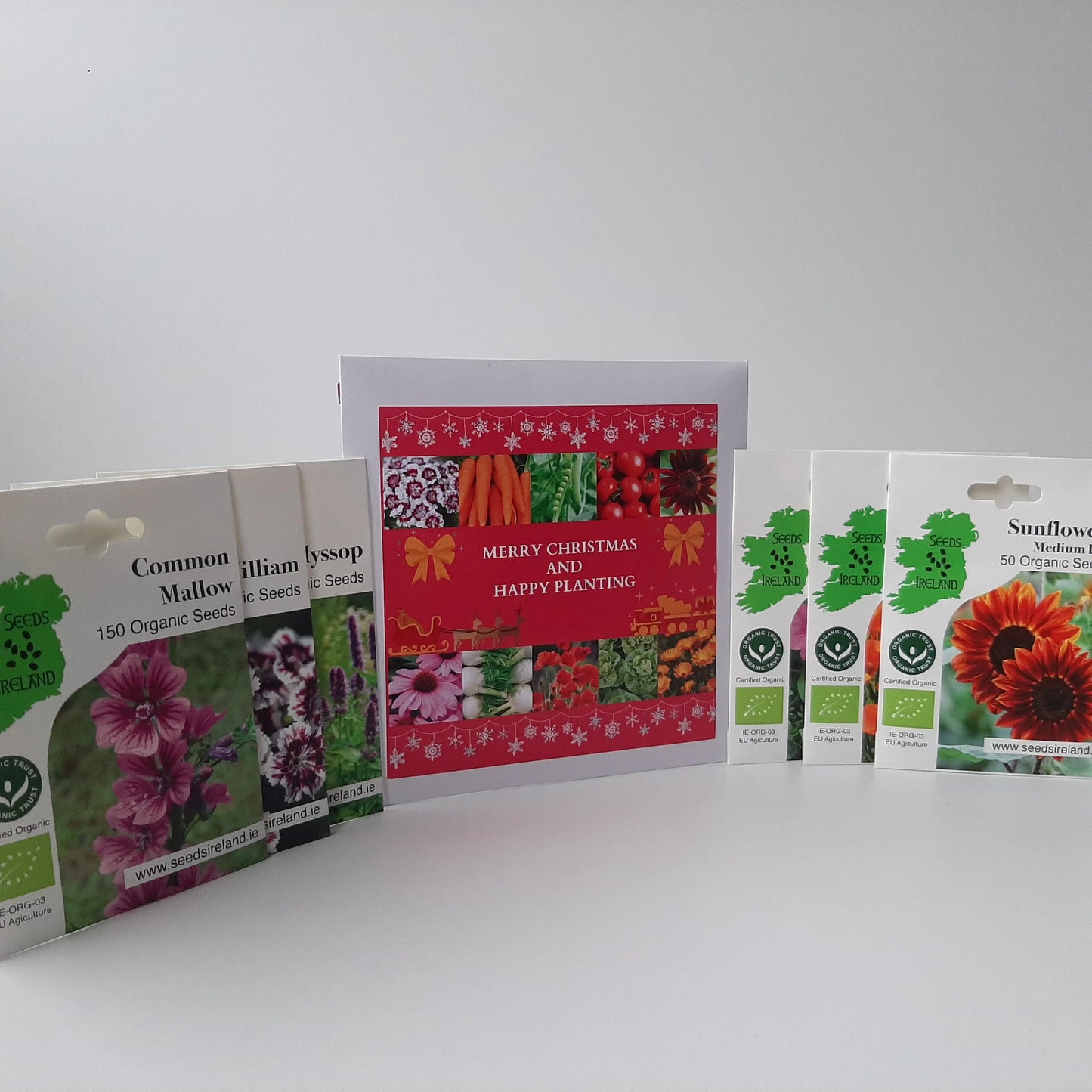 6 Pack Flowers