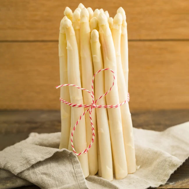 Asparagus Roots: Gijnlim White
