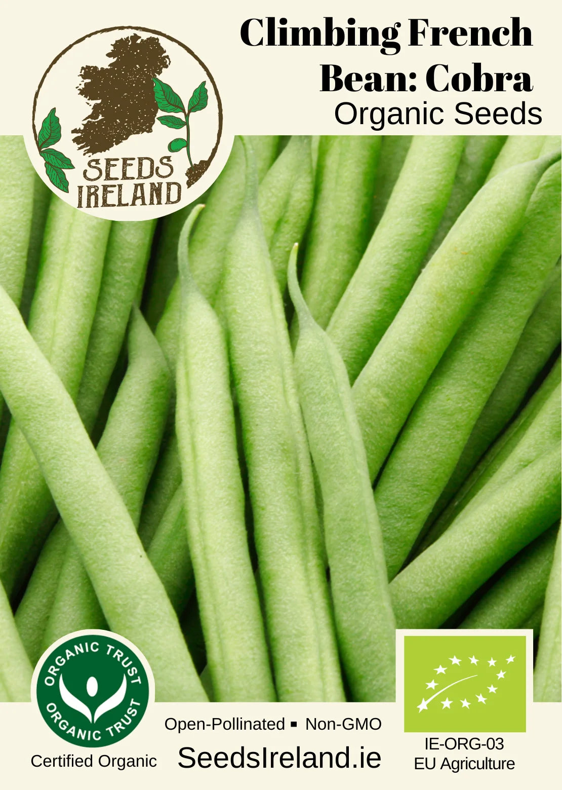 Kletternde Buschbohne: Cobra Organic Seed