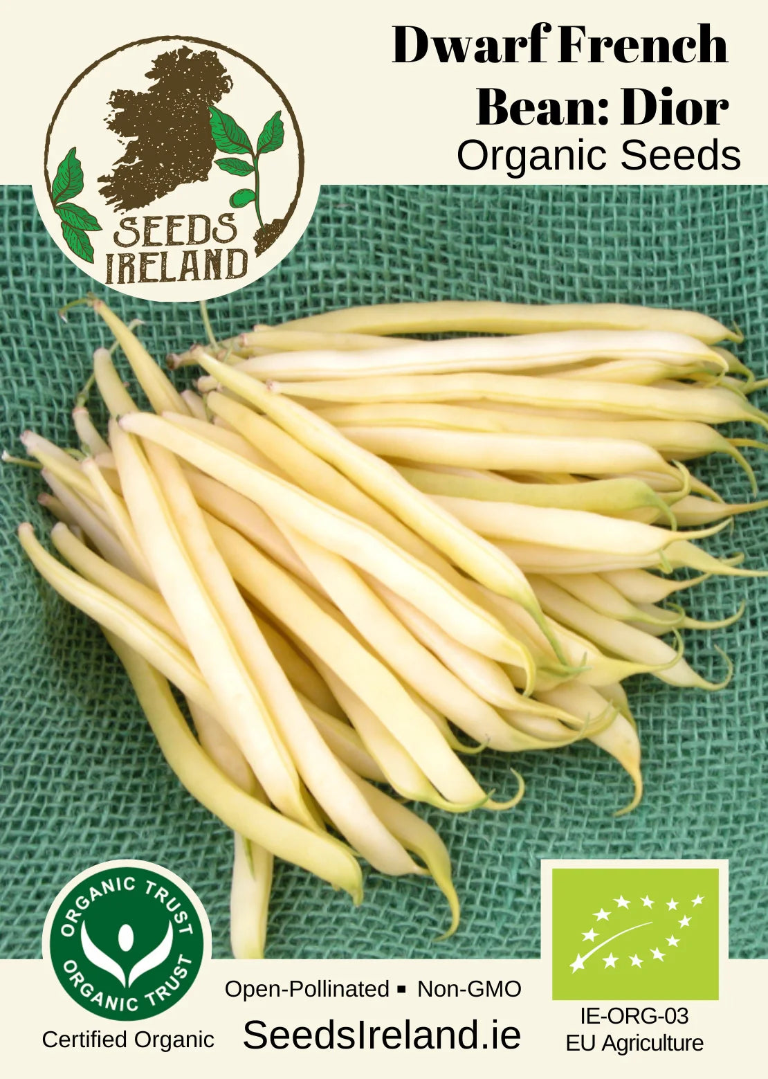 Dwarf French Bean: Dior Organic Seed