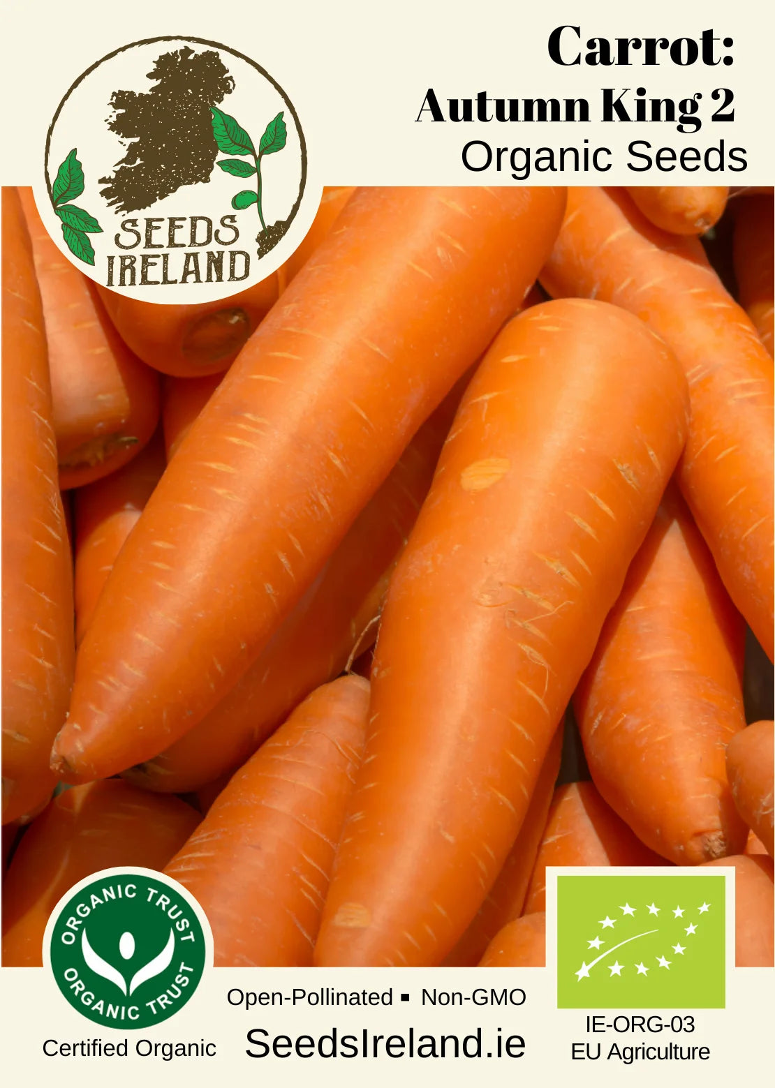 Carrot: Autumn King 2 Organic Seed