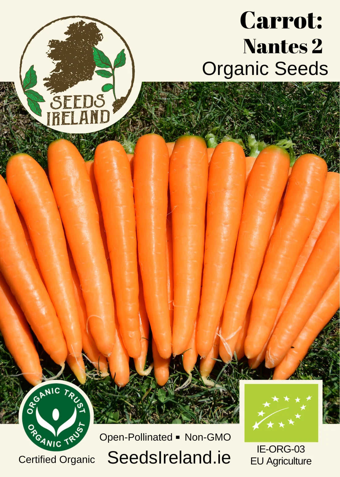 Carrot: Nantes 2 Organic Seed