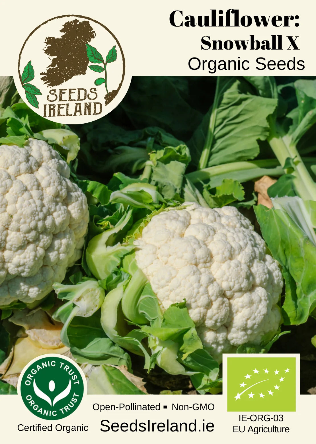 Cauliflower: Snowball X Organic Seed