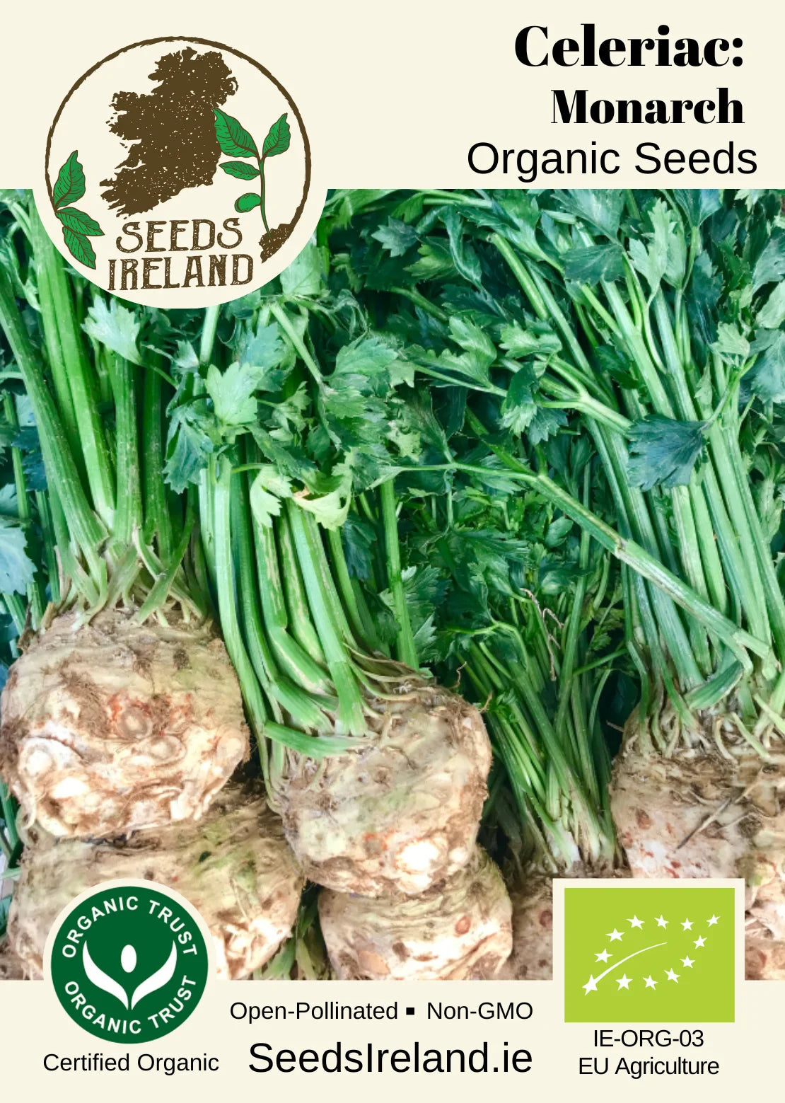 Celeriac: Monarch Organic Seed