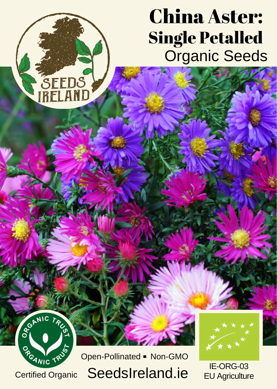China Aster: Single Petalled Organic Seed