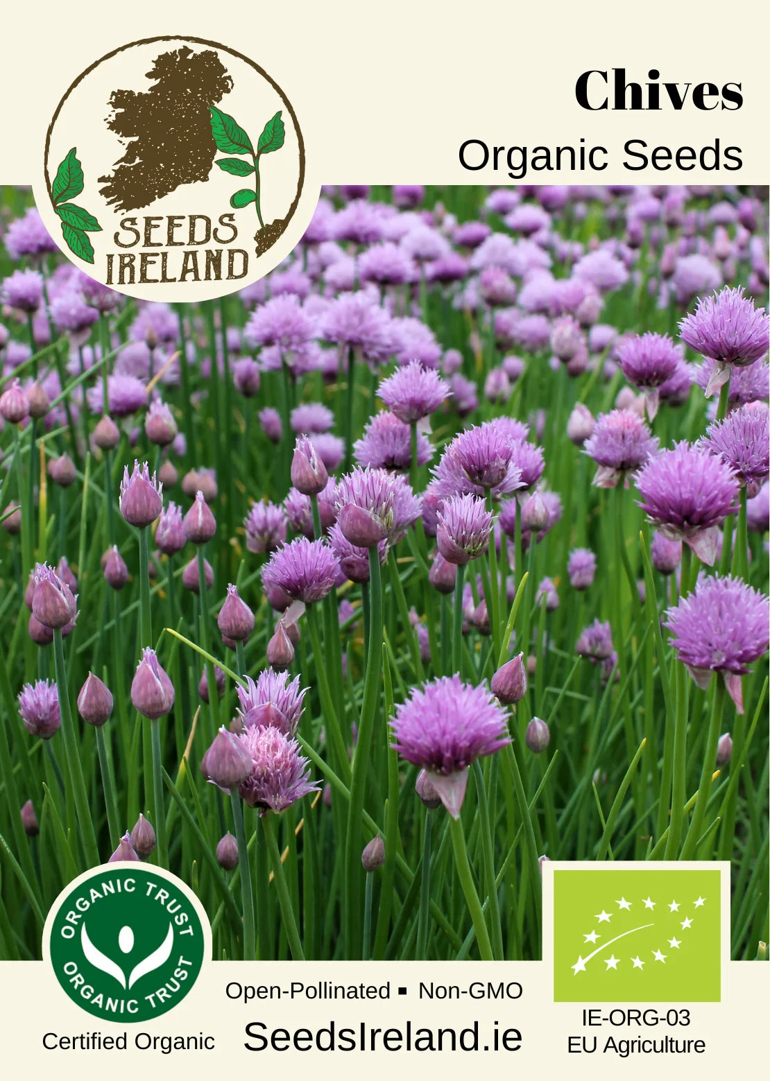 Chives Organic Seed