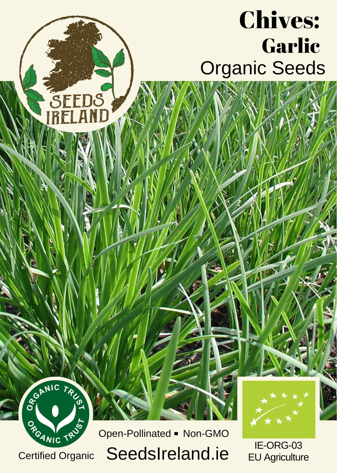 Chives: Garlic Organic Seed