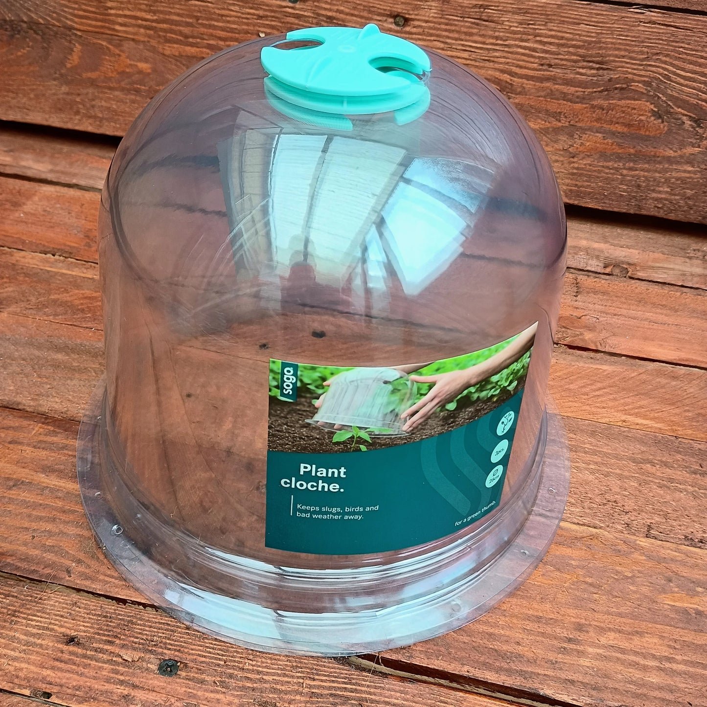 Plant Bell Cloche - 3 Pack