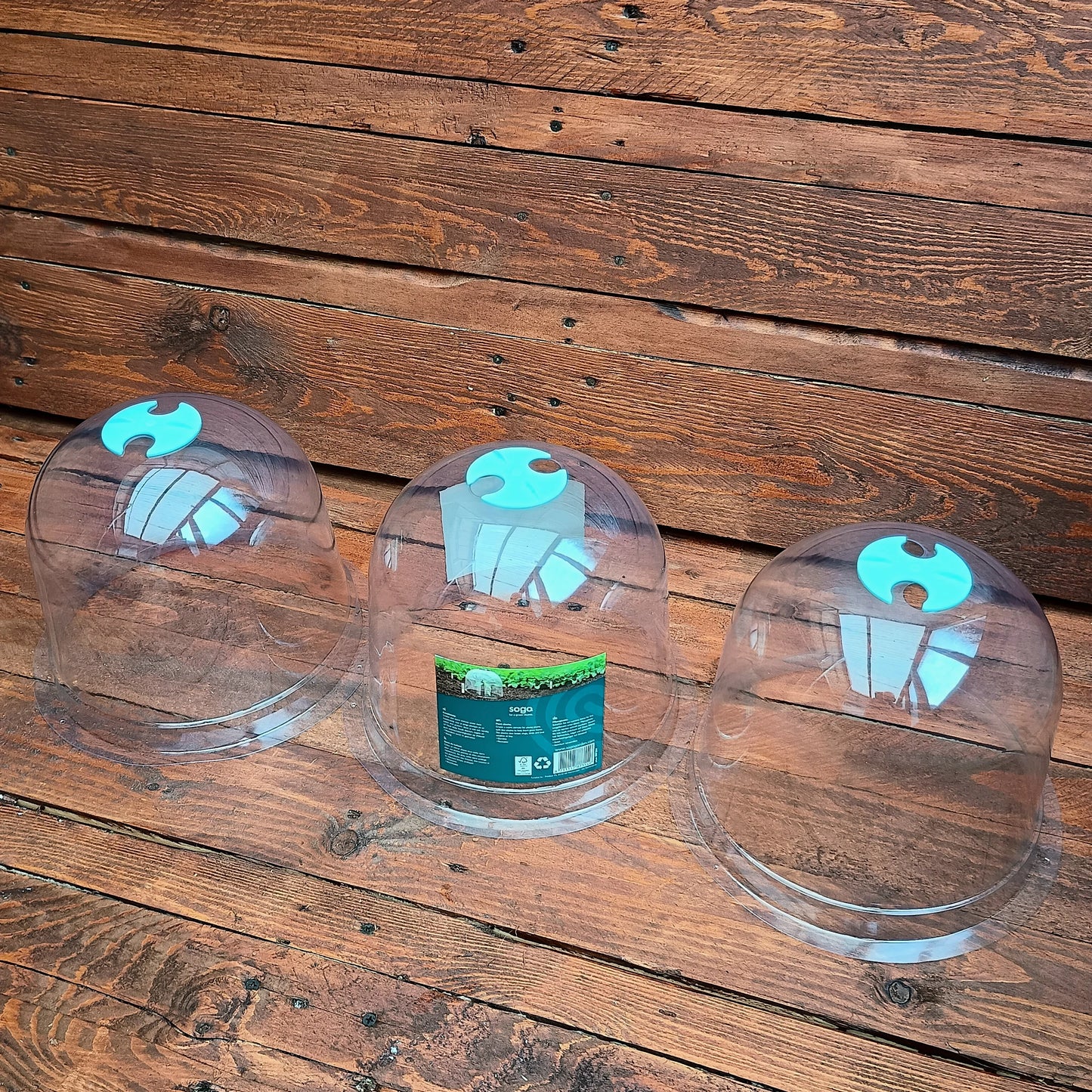 Plant Bell Cloche - 3 Pack