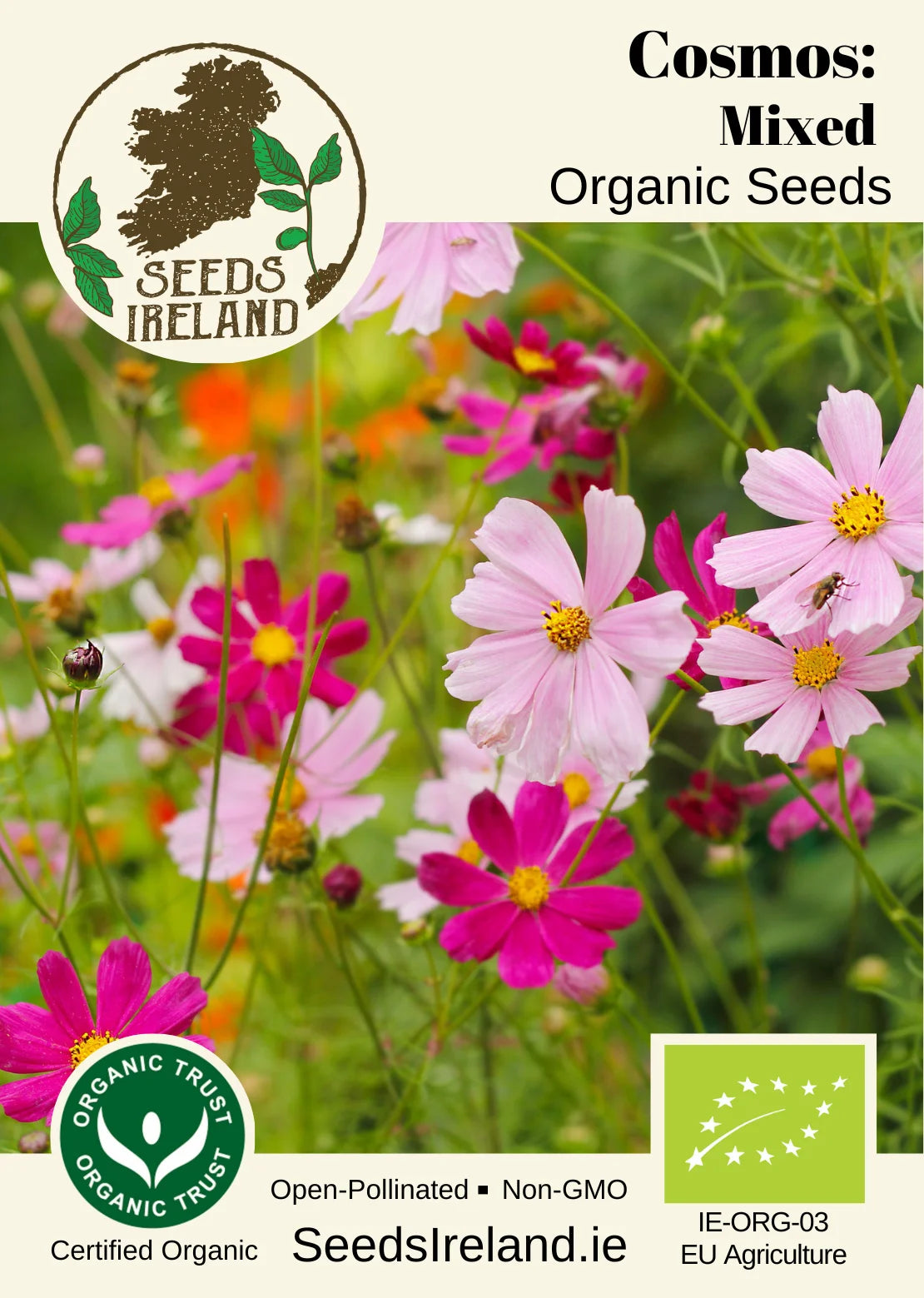 Cosmos: Mixed Organic Seed