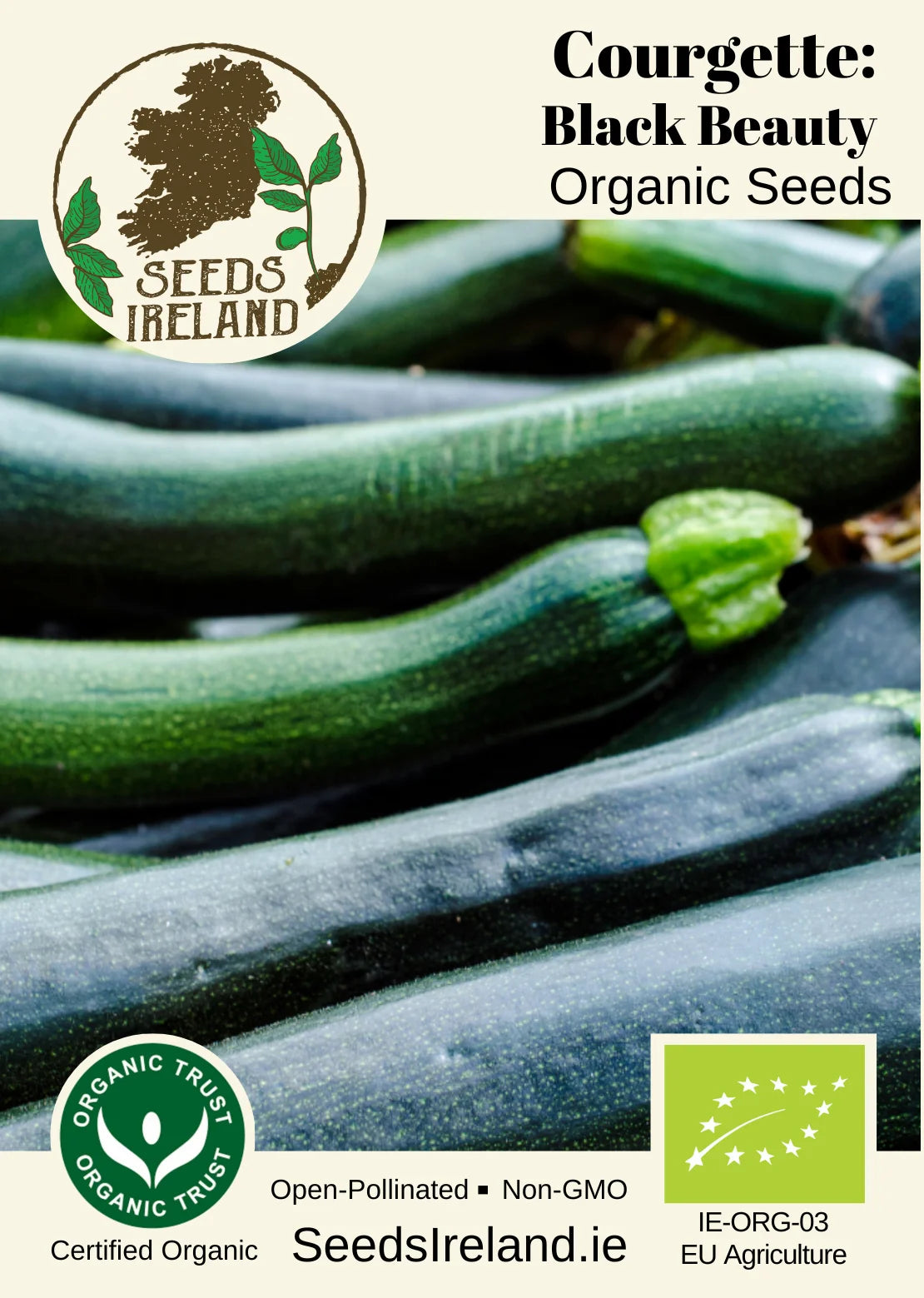 Courgette: Black Beauty Organic Seed