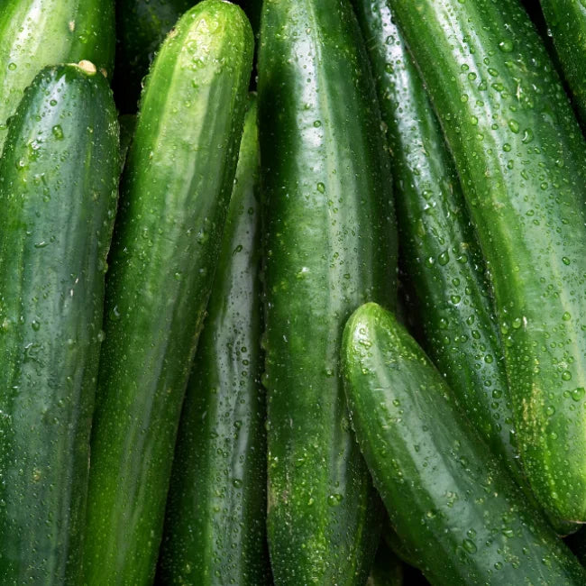 Cucumber telegraphed improved