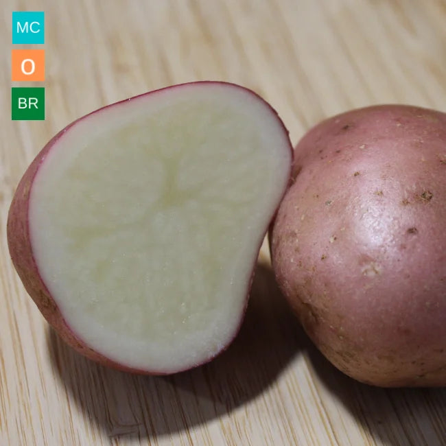 Organic Seed Potatoes: Delila