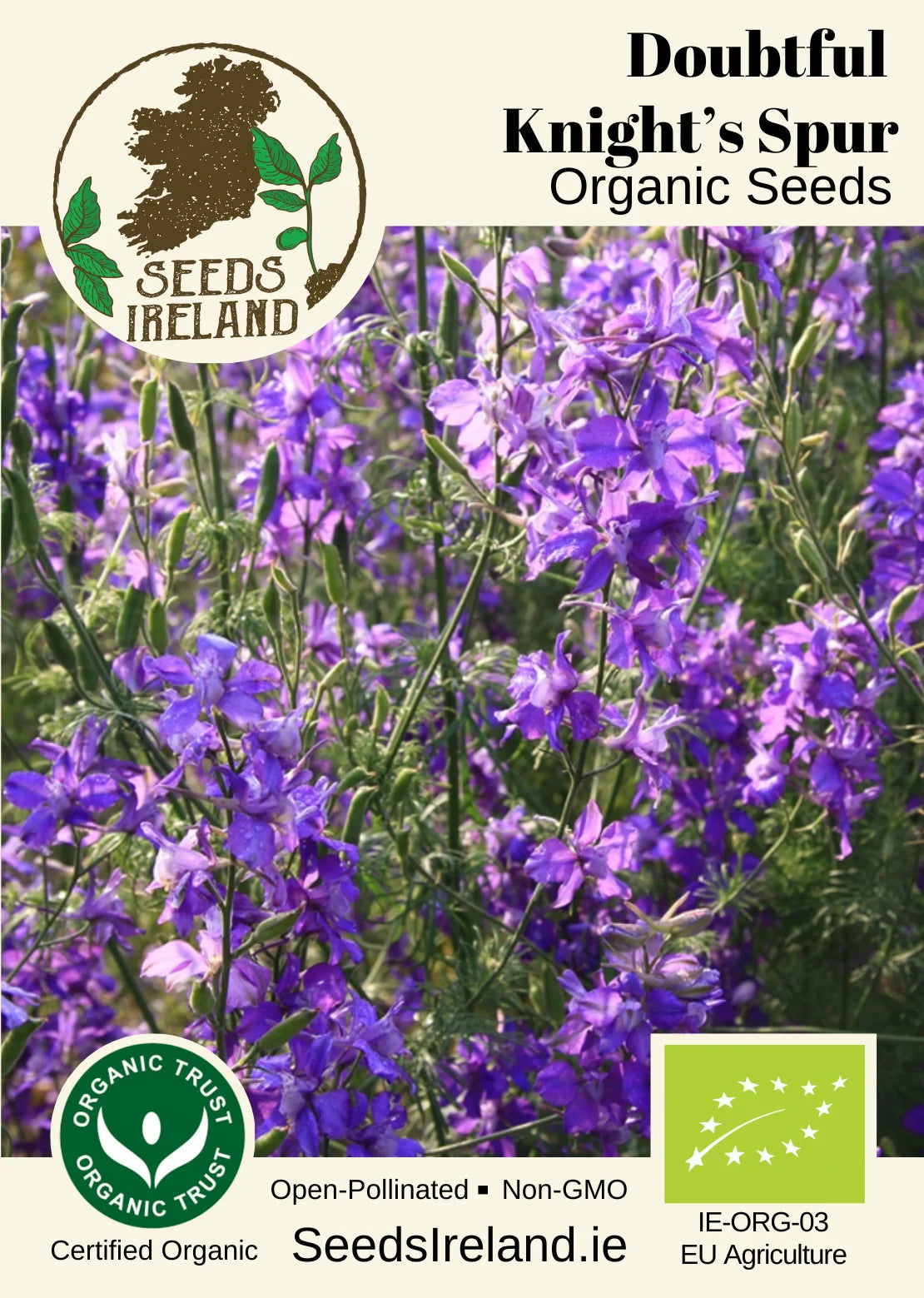 Doubtful Knight's Spur Organic Seed
