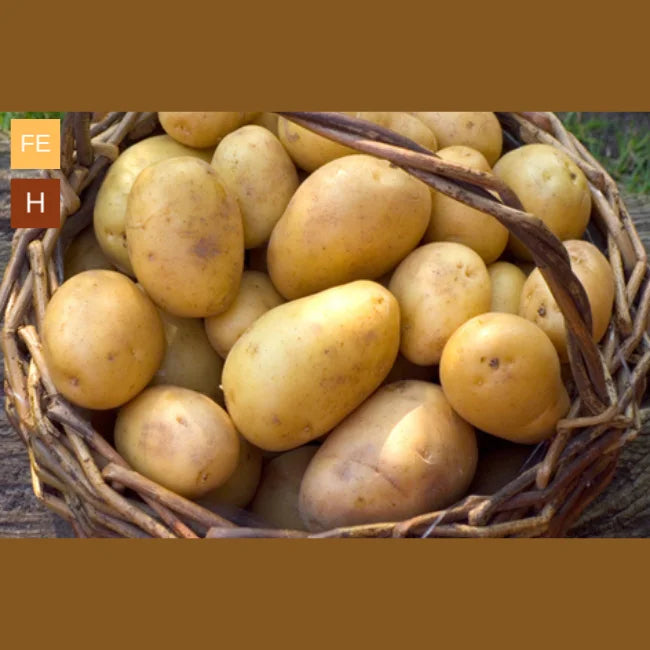 Jersey shop mids potatoes