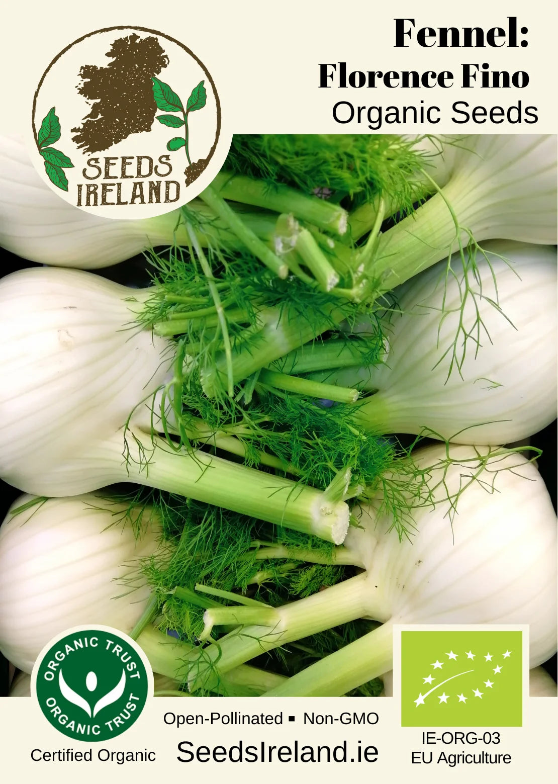 Fennel: Florence Fino Organic Seed