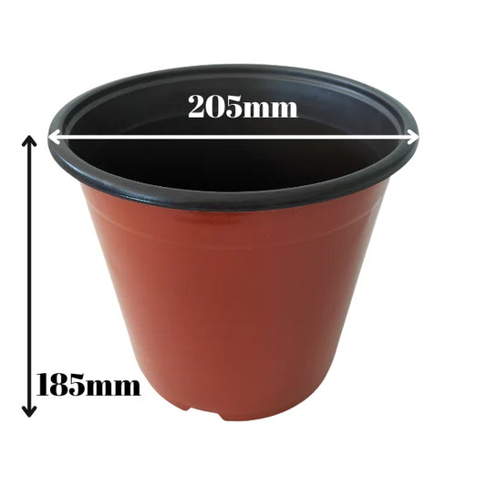 Flower Pot Large Single Measurements