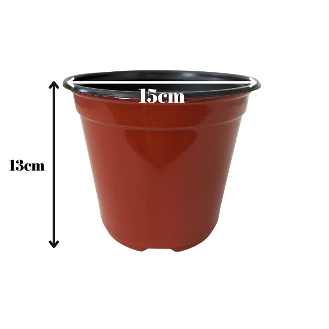 plant pot 15cm Plastic Terracotta Coloured Flower Pots | 15cm
