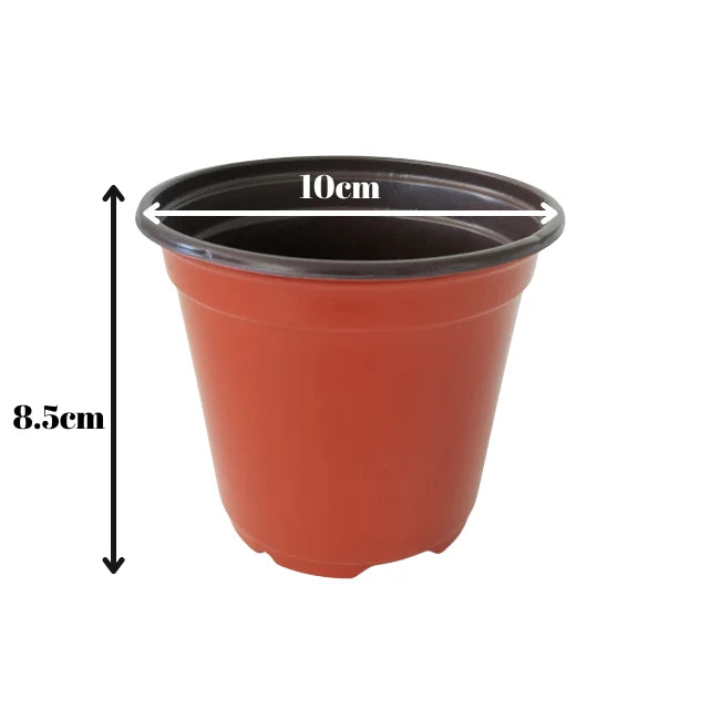 10cm plant pots Plastic Terracotta Coloured Flower Pots | 10cm