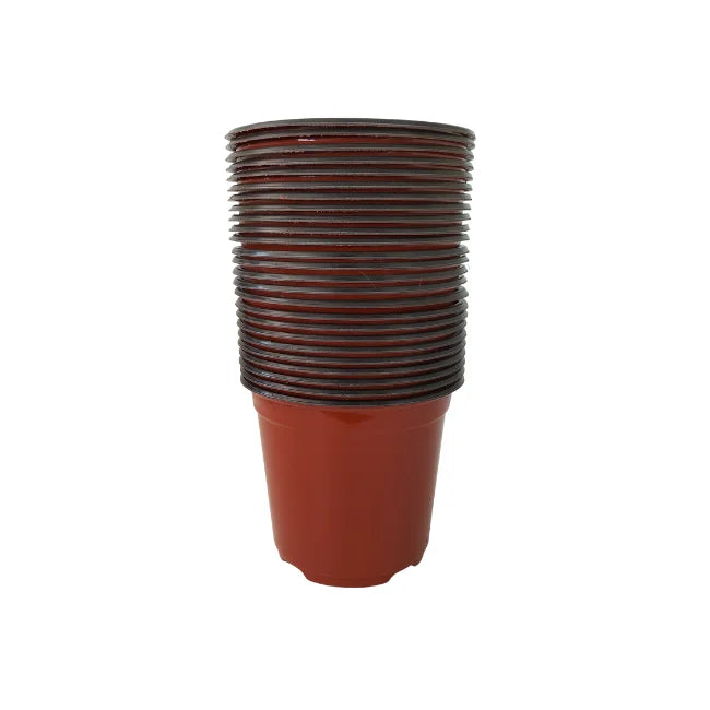 Flower Pot Medium 25 pieces