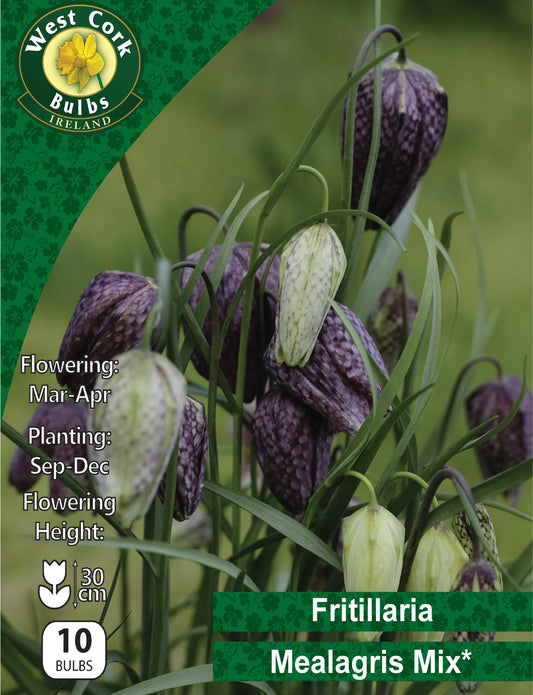 Fritillaria Mealagris Bulbs: Mixed