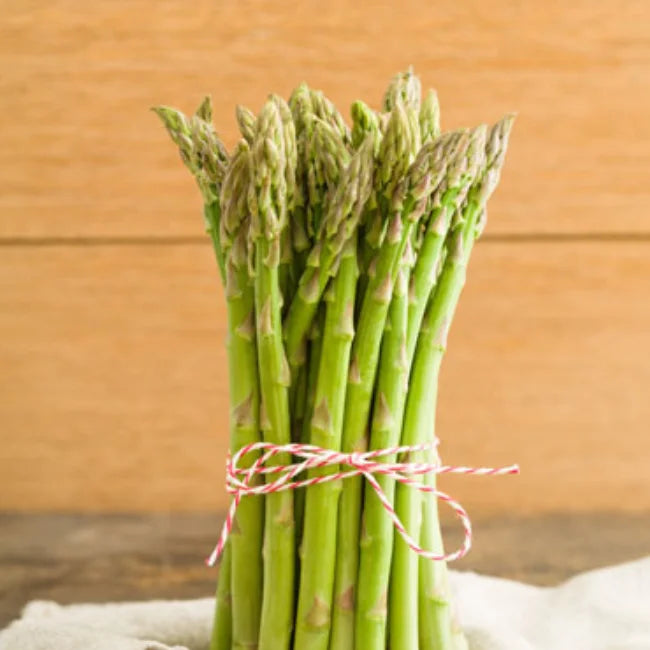 Asparagus Roots Gijnlim White Spring Crowns Seeds Ireland