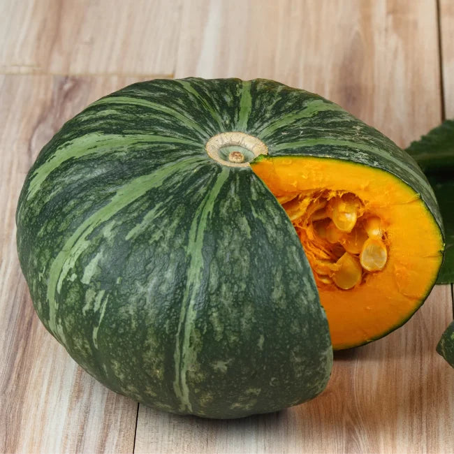 hokkaido düngen Grüner Hokkaido-Kürbis Samen Irland
