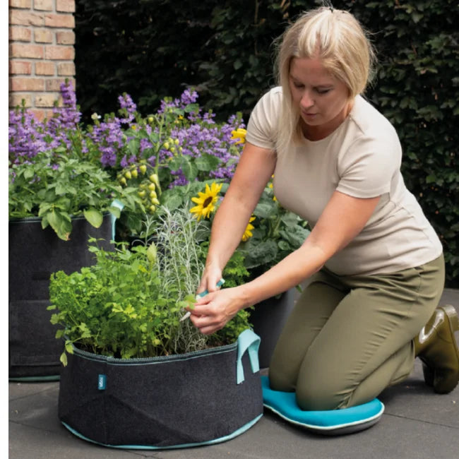 Herb Grow Bag - 38 Litre