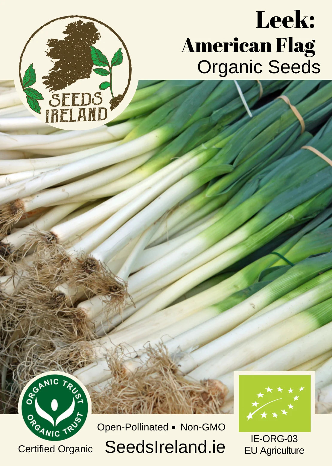 Leek: American Flag Organic Seed