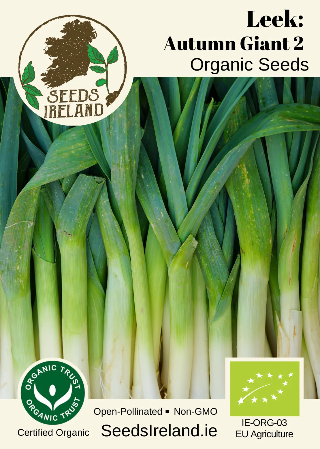 Leek: Autumn Giant 2 Organic Seed