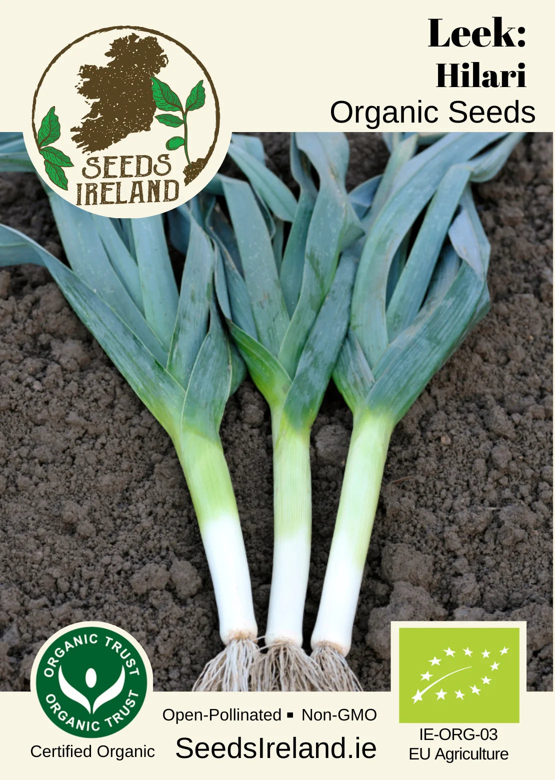 Leek: Hilari Organic Seed