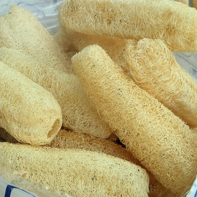 Luffa Sponge