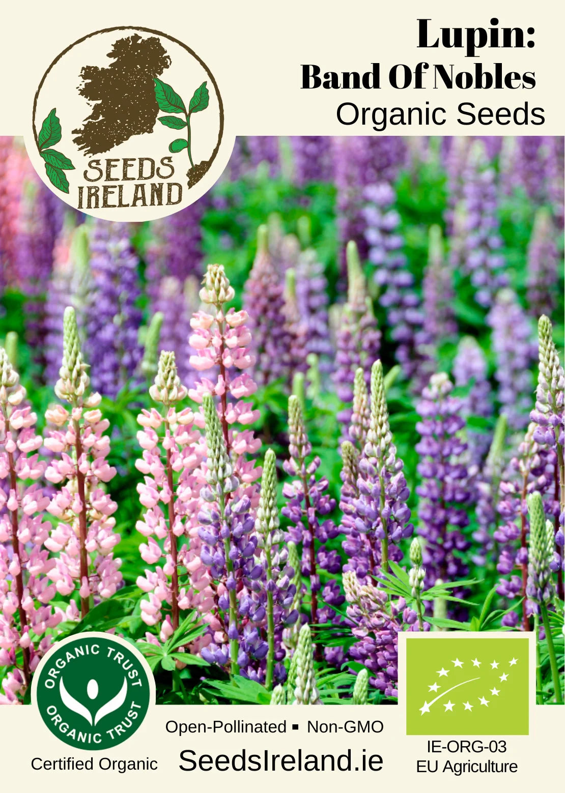 Lupin: Band Of Nobles Organic Seed