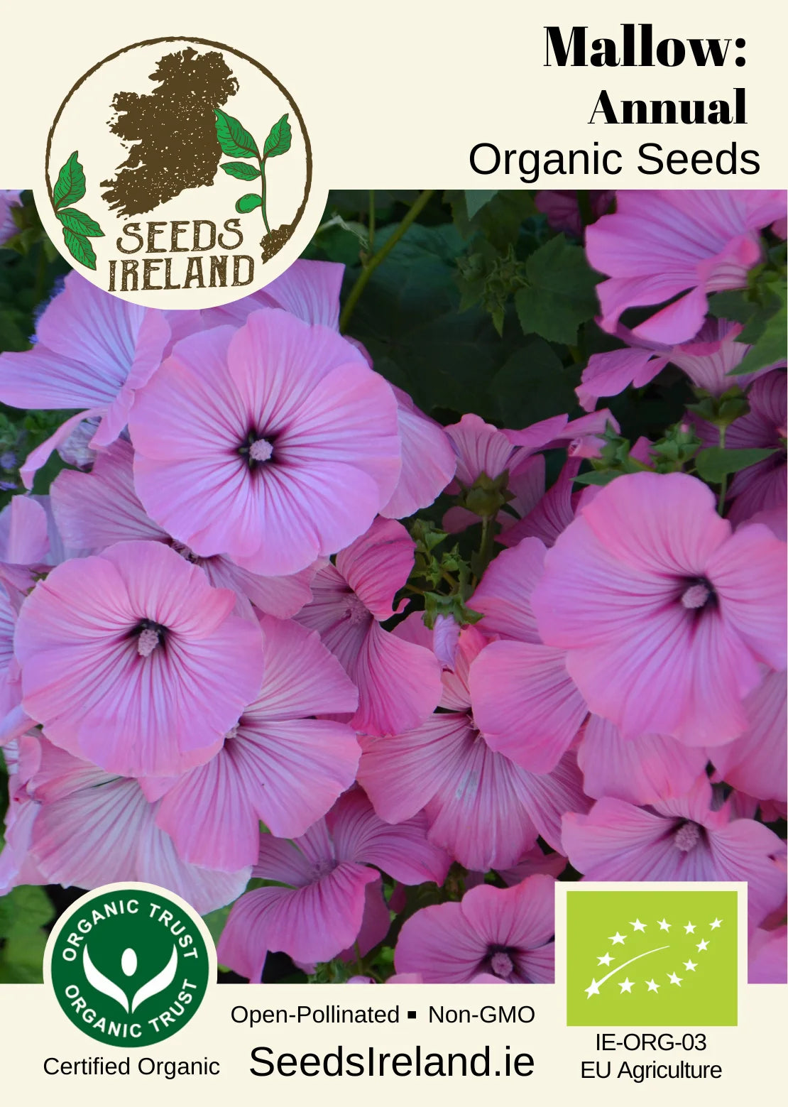 Mallow: Annual Organic Seed