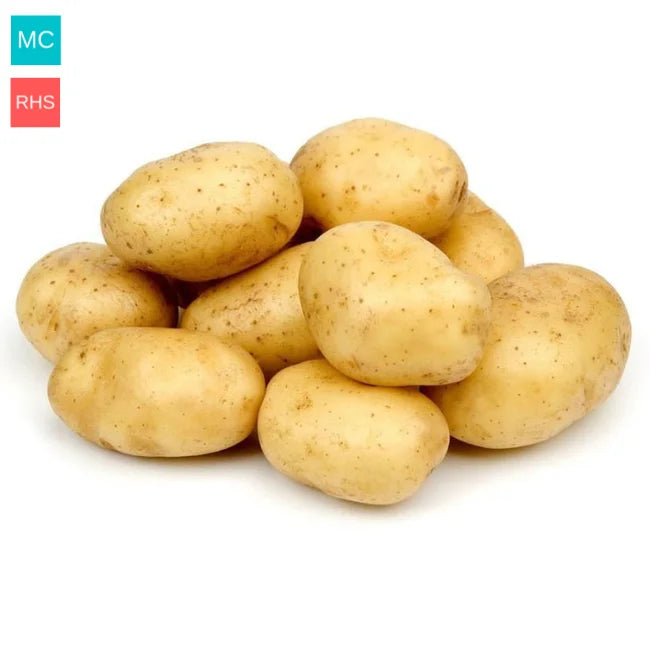 Maris Piper Seed Potatoes