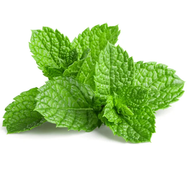 Mint