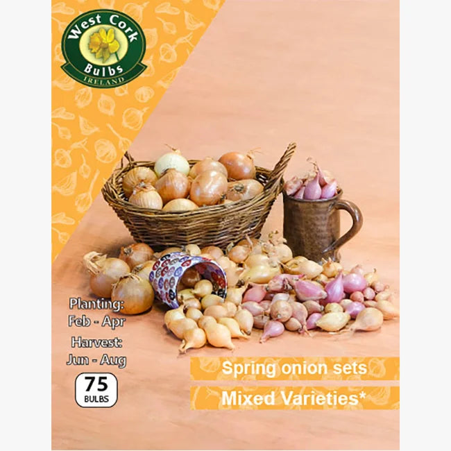 Onion Sets: Mixed Varieties