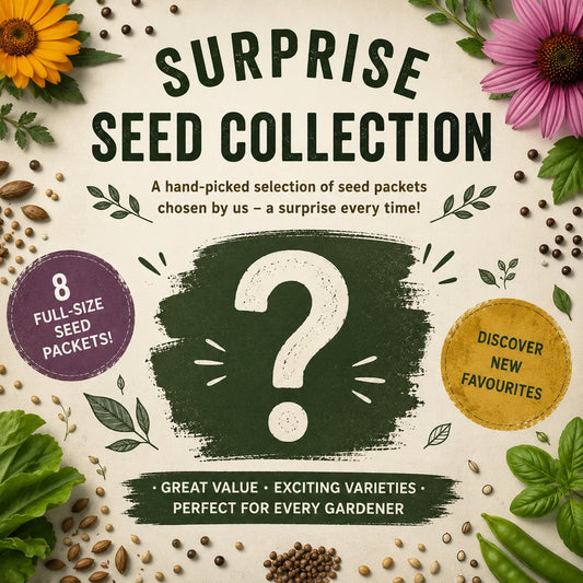 Seeds Ireland Discovery Collection – 8 Surprise Seed Packets